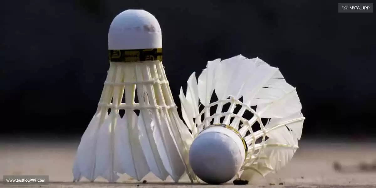 代码为笔,创意为墨,绘制玩家的幻想国度🎨